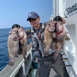 シーランチ 釣果