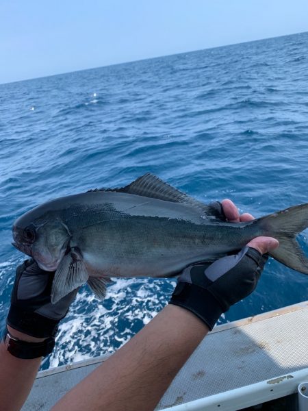 シーランチ 釣果