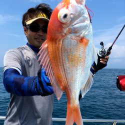 渡船屋たにぐち 釣果