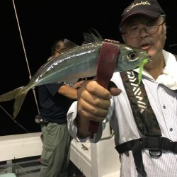 渡船屋たにぐち 釣果