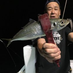 渡船屋たにぐち 釣果