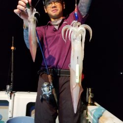 アマテラス 釣果