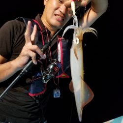 アマテラス 釣果