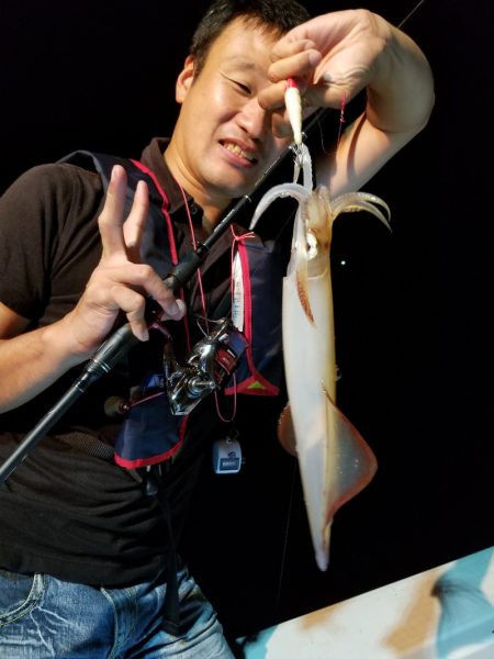 アマテラス 釣果