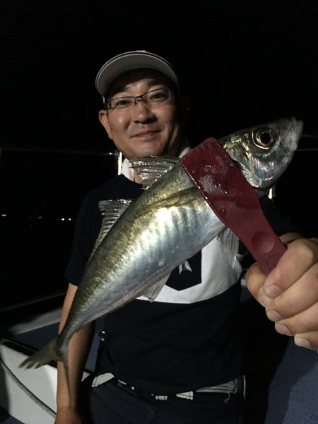 渡船屋たにぐち 釣果