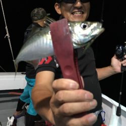 渡船屋たにぐち 釣果