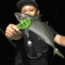 渡船屋たにぐち 釣果
