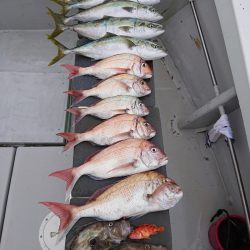 エンペラー 釣果