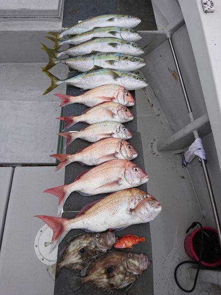 エンペラー 釣果