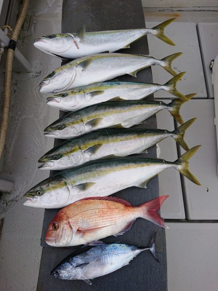 エンペラー 釣果