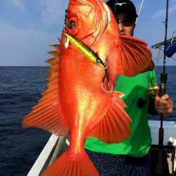 渡船屋たにぐち 釣果