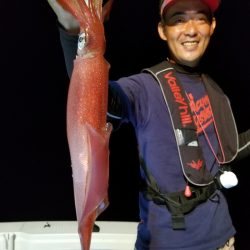 アマテラス 釣果