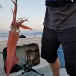 アマテラス 釣果