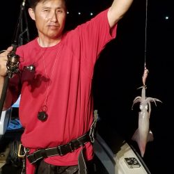 アマテラス 釣果