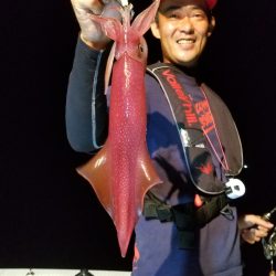 アマテラス 釣果