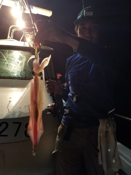 アマテラス 釣果