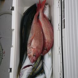 エンペラー 釣果