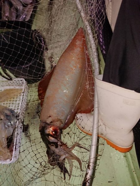 海龍丸（石川） 釣果