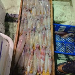 海龍丸（石川） 釣果