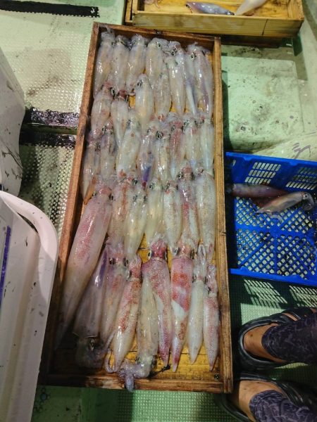 海龍丸（石川） 釣果