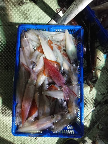 海龍丸（石川） 釣果