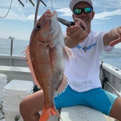 ランスルー 釣果