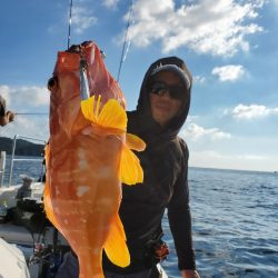 ソルトウォーターガイドフレンズ 釣果