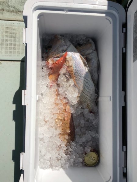 フィッシング　キッタカ 釣果