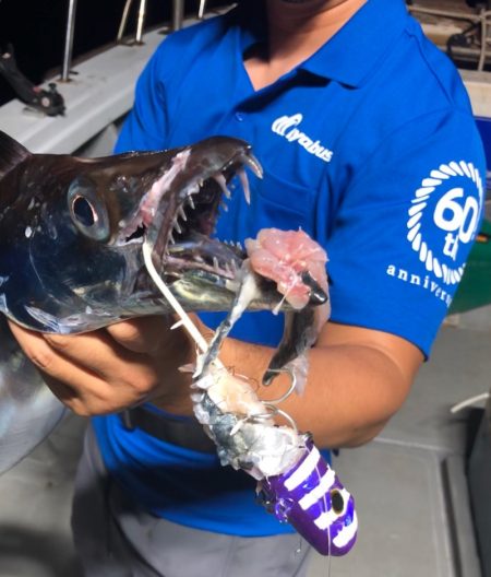 「LaGooN」蒼陽丸 日和号 釣果