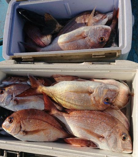 シースナイパー海龍 釣果