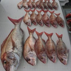 遊漁船 家入 釣果