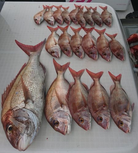 遊漁船 家入 釣果