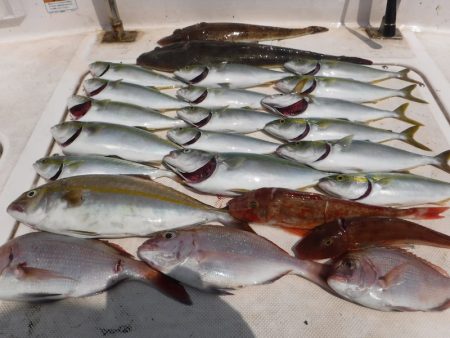 ＪＤＩ　Ｒａｃｉｎｇ　シールズマリンレジャ…