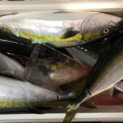 第二八坂丸 釣果