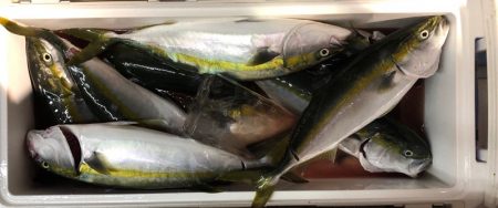 第二八坂丸 釣果