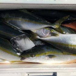 第二八坂丸 釣果