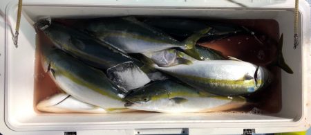 第二八坂丸 釣果