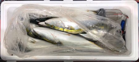 第二八坂丸 釣果