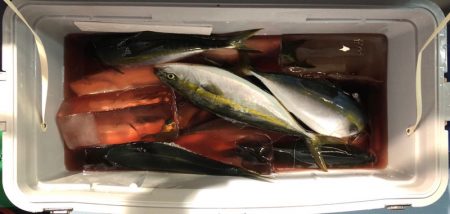 第二八坂丸 釣果