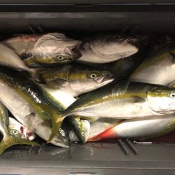 第二八坂丸 釣果