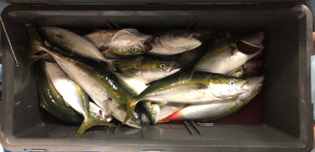 第二八坂丸 釣果