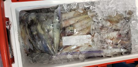 海龍丸（石川） 釣果