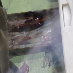 海龍丸（石川） 釣果