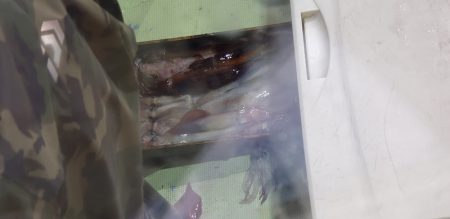 海龍丸（石川） 釣果