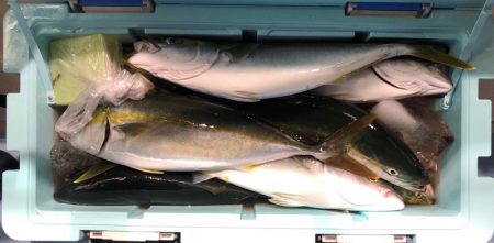 第二八坂丸 釣果