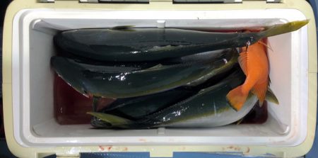 第二八坂丸 釣果