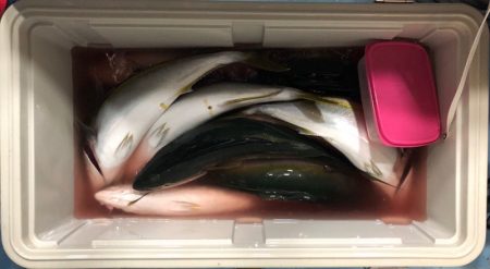 第二八坂丸 釣果