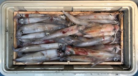 第二八坂丸 釣果