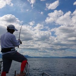 シースナイパー海龍 釣果