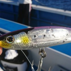 第三共栄丸 釣果